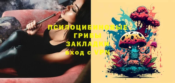 дживик Костерёво