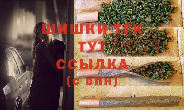 дживик Костерёво