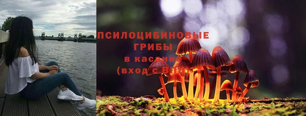 дживик Костерёво