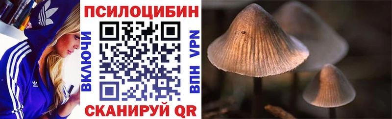 Купить где  Полярный  Галлюциногенные грибы GOLDEN TEACHER 
